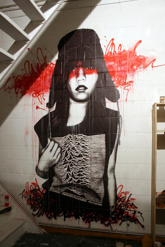 A Pleasure Unknown — Fin DAC mural — reference image from Flickr