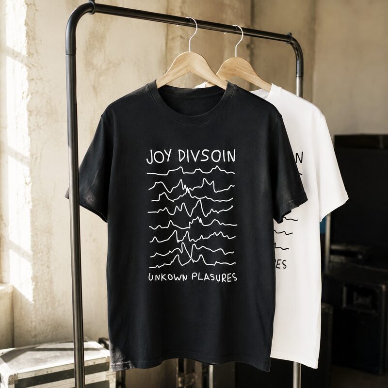 Joy Divsoin — Unkown Plasures — reference image from Super Lapin