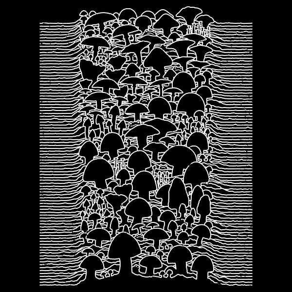 Mushroom Division — reference image from NeatoShop