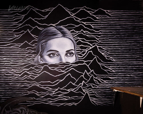 Unknown Pleasures — Dozer’s Warehouse mural — reference image from Flickr